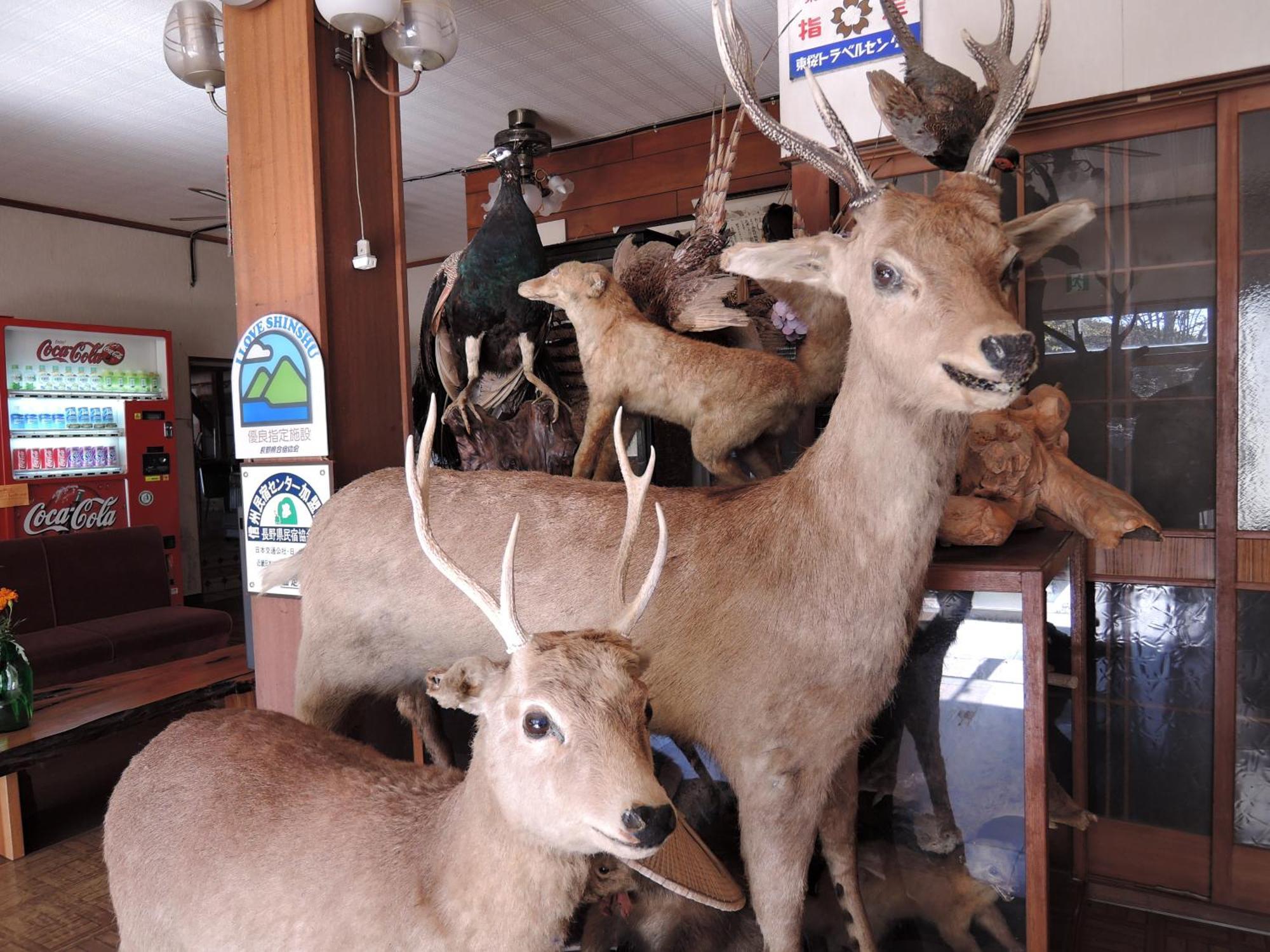 ホテル しんたく山荘 南牧村 エクステリア 写真